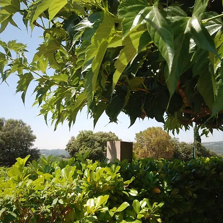 Le Grand Barsan